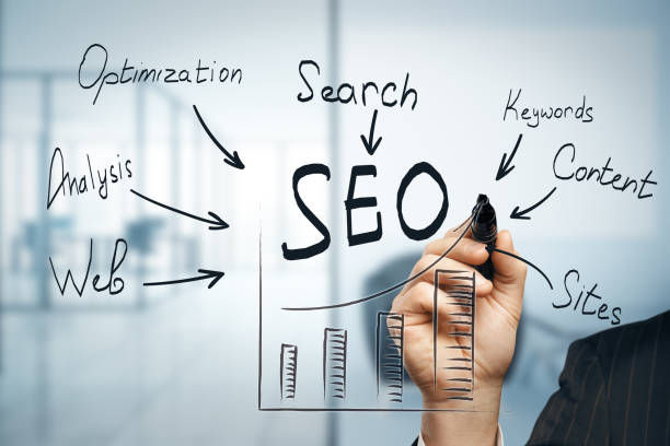 SEO company in Jaipur