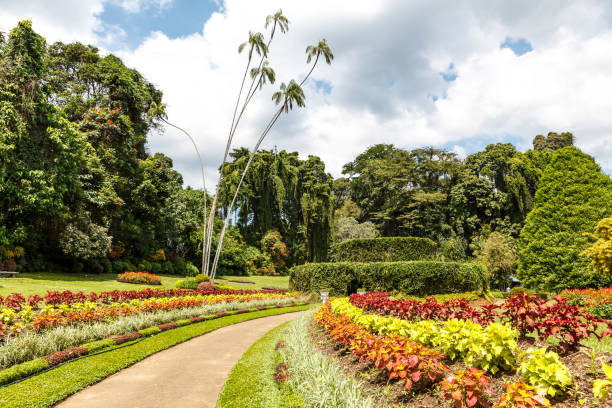 landscaping fort collins co