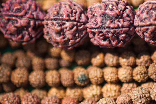 Original Rudraksha store Bannerghatta Road