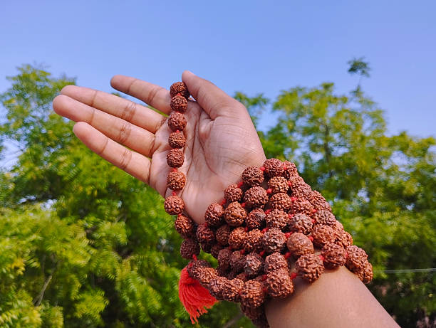 Certified Rudraksha in Sahakara Nagar